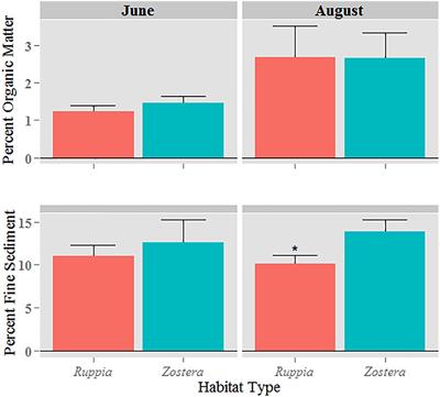 Canopy Functions of R. maritima and Z. marina in the Chesapeake Bay